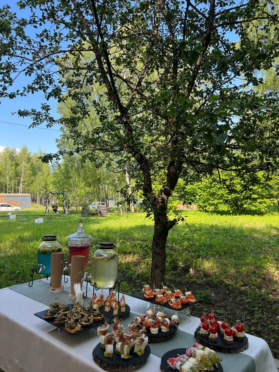 Выездной кейтеринг на открытой площадке